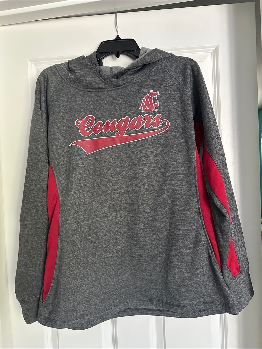 WSU Cougars Colosseum hoodie